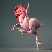 Тим Флэк. Курица без перьев. 2012 | Tim Flach. Featherless Chicken. 2012